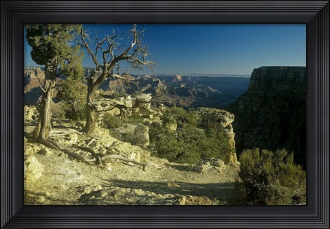 Framed Grand Canyon 6 Print