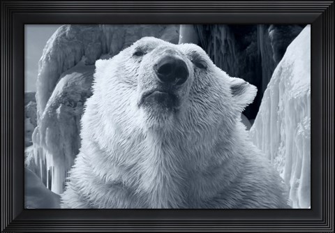 Framed Arctic Frost 2 Print
