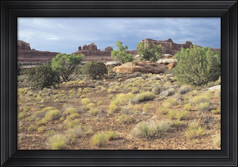 Framed Canyonland 15 Print