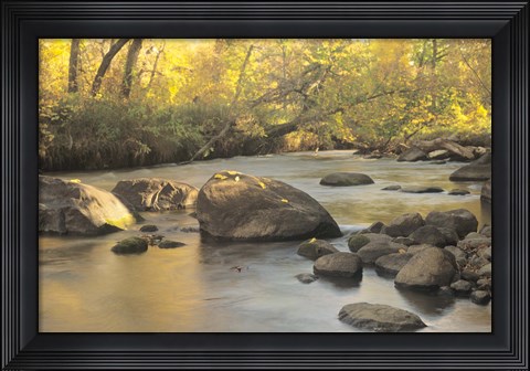 Framed Buffalo River 6 Print