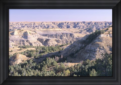 Framed Theodore Roosevelt National Park 51 Print