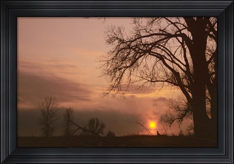 Framed Sunset And Tree Silhouettes In Snow III Print