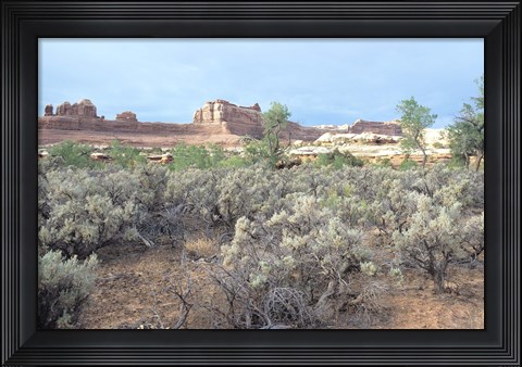 Framed Canyonland 16 Print