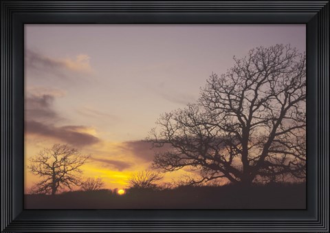 Framed Sunset And Tree Silhouettes II Print