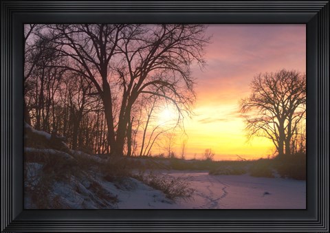 Framed Sunset And Tree Silhouettes In Snow II Print