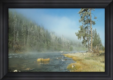 Framed Yellowstone 1 Print