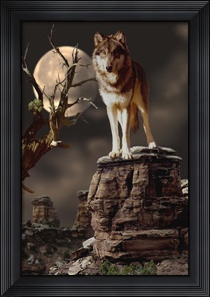 Framed Moonlighter Print