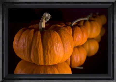 Framed Pumpkin Reflections Print