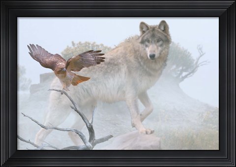 Framed Silent Encounter Print