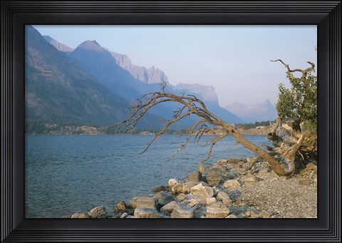 Framed Glacier National Park 13 Print