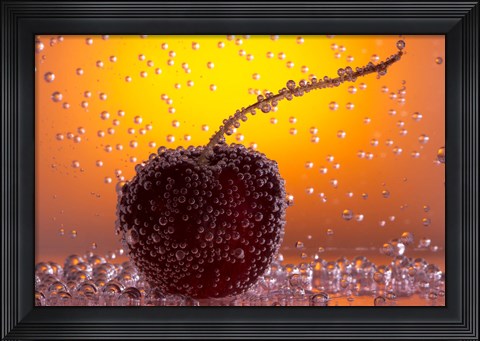 Framed Cherry Underwater Covered In Water Drops II Print