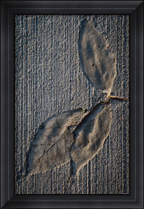 Framed Cement Autumn 1336 Print