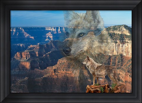 Framed Haunted Canyon Print