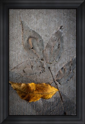 Framed Cement Autumn 1295 Print