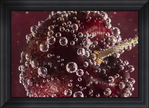 Framed Marroon Fruit Closeup With Raindrops II Print