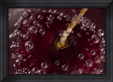 Framed Marroon Fruit Closeup With Raindrops I Print