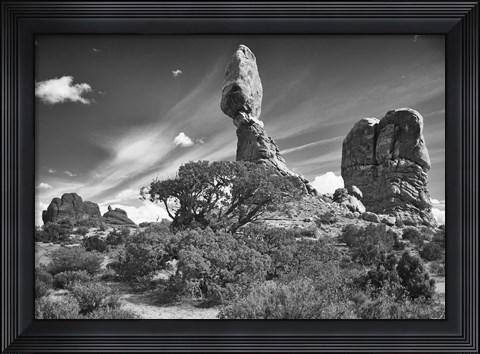 Framed High Rock And Tree Print