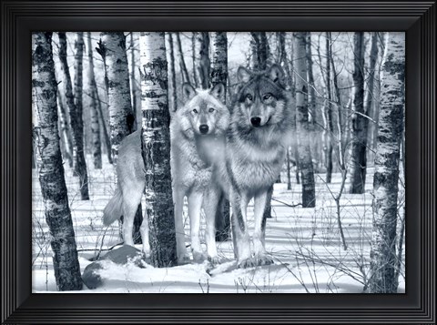 Framed Snow Shadows Silvertones Print