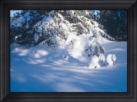 Framed Winter Snow Day Print