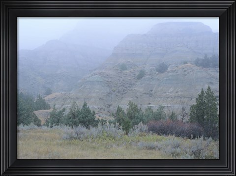 Framed Theodore Roosevelt National Park 10 Print