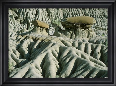 Framed Theodore Roosevelt National Park 19 Print