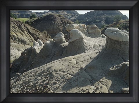 Framed Theodore Roosevelt National Park 21 Print