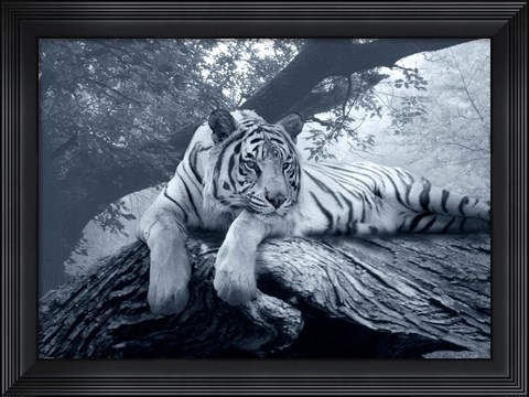 Framed Lazy Days Print