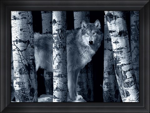 Framed Silver Tone Moon Shadows Print