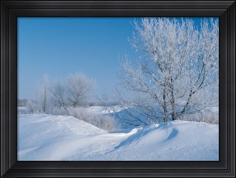 Framed Snow Terrain II Print