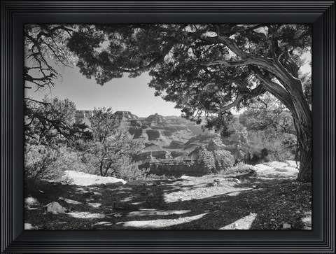 Framed Grand Canyon 8 Print