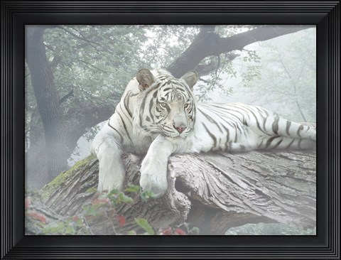 Framed Lazy Days Print