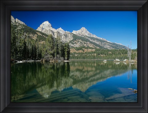 Framed Grand Teton 6 Print