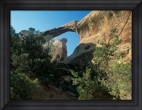 Framed Arches 14 Print