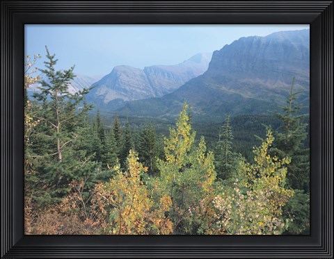 Framed Blue Mountains And Fall Trees Print
