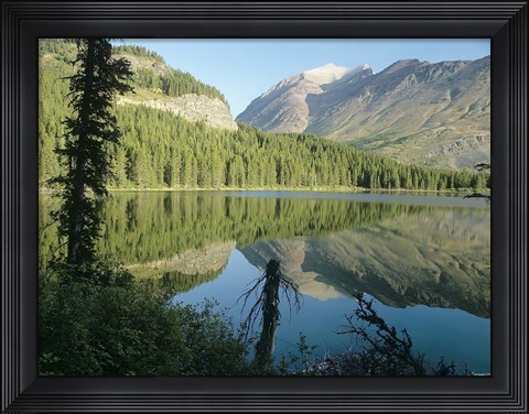 Framed River Reflecting Evergreens Print