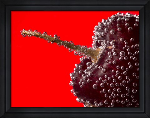 Framed Cherry Covered In Water Drops II Print