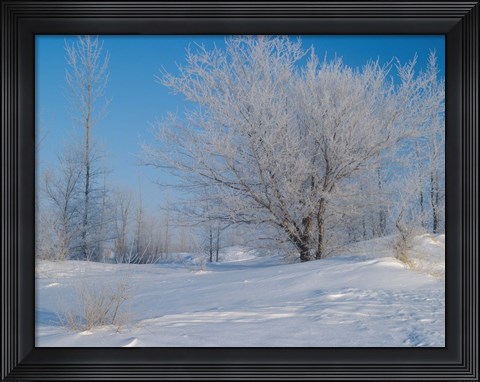 Framed Snow Terrain III Print