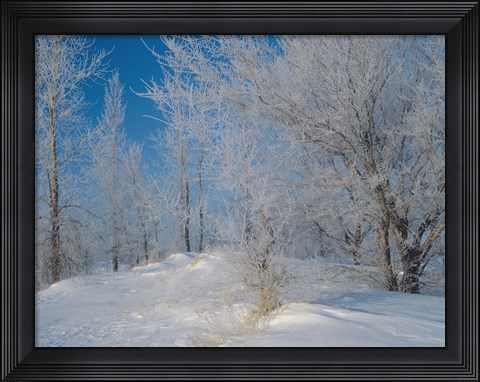 Framed Snow Terrain Tree III Print