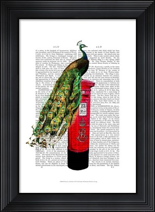 Framed Peacock on Postbox Print