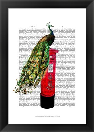 Framed Peacock on Postbox Print