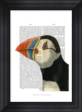 Framed Puffin Portrait Print