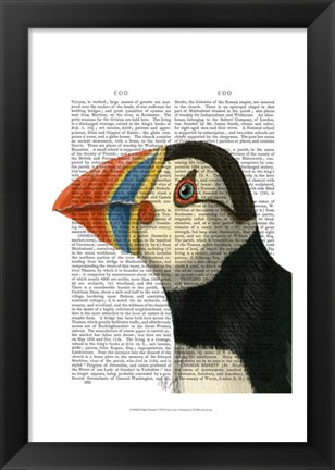 Framed Puffin Portrait Print