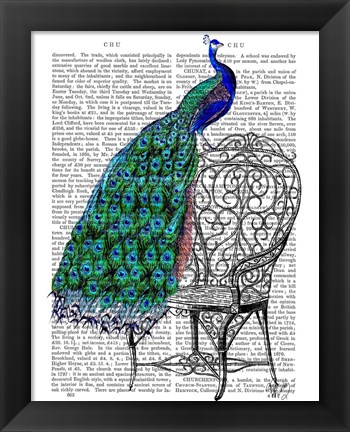 Framed Peacock on Chair Print