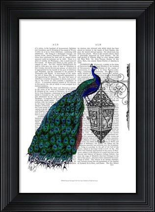 Framed Peacock On Lamp Print