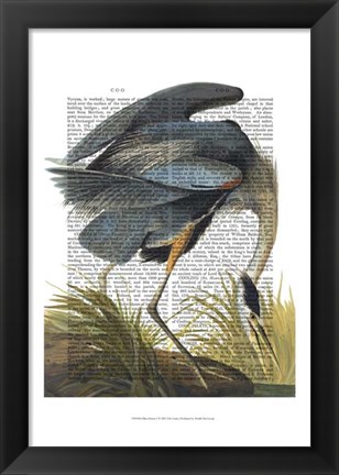 Framed Blue Heron 1 Print