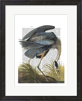 Framed Blue Heron 1 Print