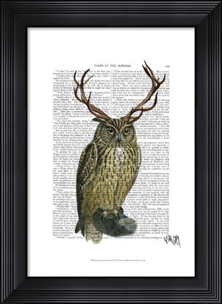 Framed Owl with Antlers plain Print
