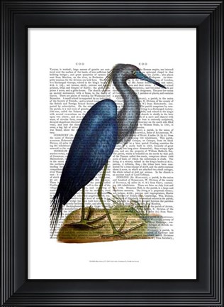 Framed Blue Heron 2 Print