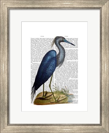 Framed Blue Heron 2 Print