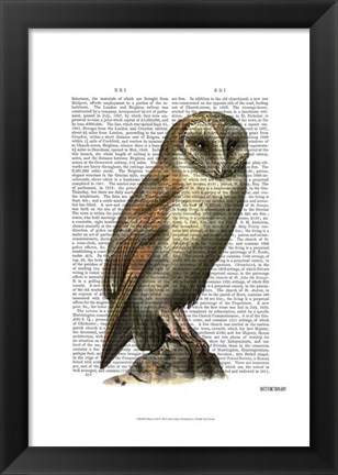 Framed Barn Owl Print